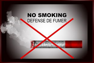 Peel品牌揭秘 爆珠香煙背后的口感密碼與設(shè)計(jì)哲學(xué)