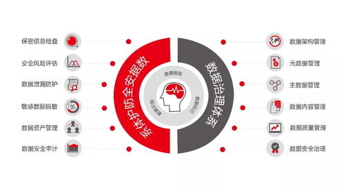 企業(yè)數(shù)據(jù)保護關鍵領域與數(shù)據(jù)處理服務選擇指南